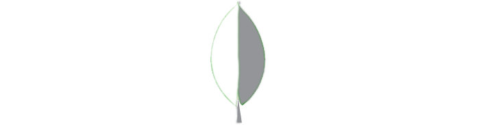 Logo 11